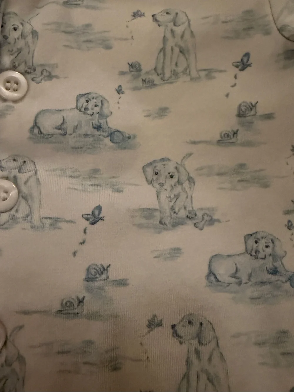 Unbranded Blue Puppy Print Kids Matching Bodysuit Set